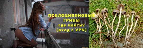 героин Алексин