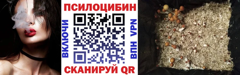 Галлюциногенные грибы прущие грибы  Большой Камень 