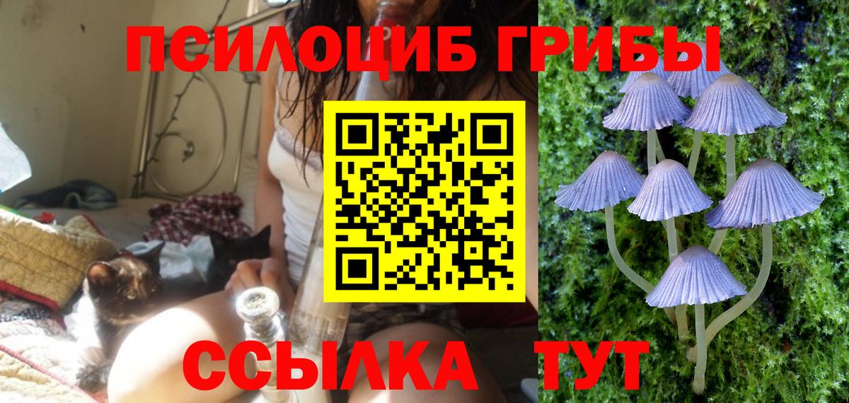 Галлюциногенные грибы GOLDEN TEACHER Большой Камень